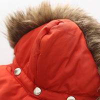 HKM-0342589 Hooded Cotton Down Jacket for Dogs - Warm and Stylish in Blue, Beige, Red