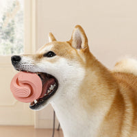 HKM-0350781 Durable L-Shaped and S-Shaped Rubber Dog Chew Balls for Playtime Fun