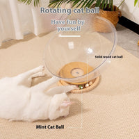 HKM-0353981 Transparent Acrylic Cat Space Capsule Bathtub - Multiple Sizes Available