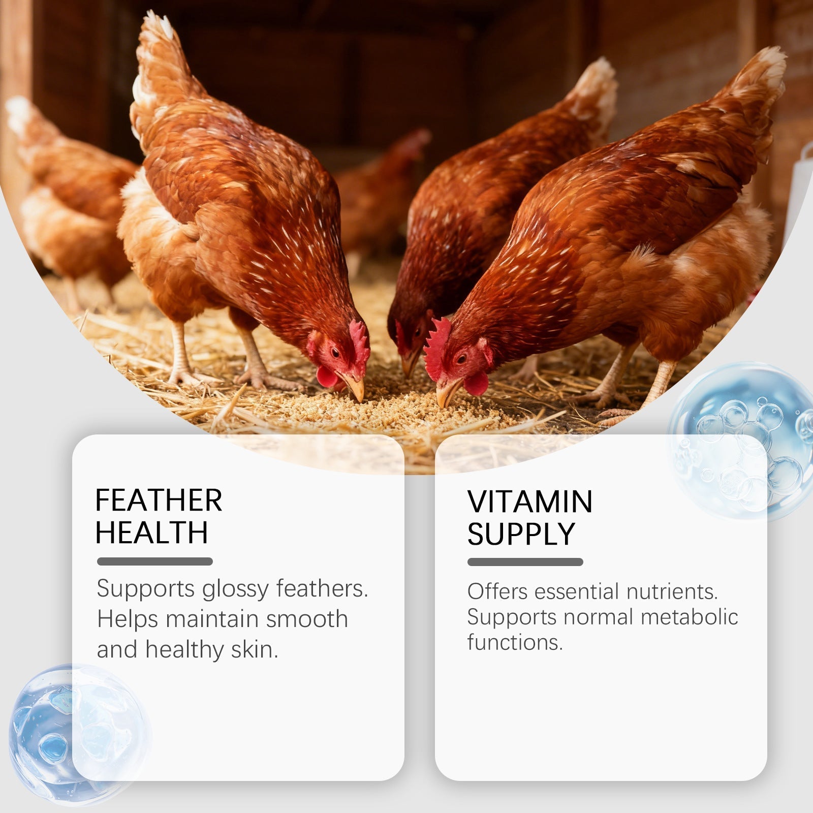 HKM-0355773 Nutritional Support Tablets for Poultry and Small Animals - 60 Count