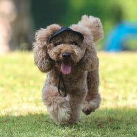 HKM-0359869 Adjustable Dog and Cat Baseball Cap - Wear-resistant Canvas with Velcro Design