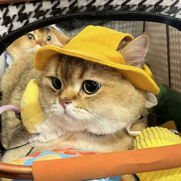 HKM-0363069 Exposed Ears Pet Bucket Hat for Cats and Dogs – Sun Protection in Various Colors