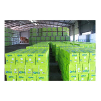 HKM-036307 IK Plus A4 80gsm Copy Paper - Original Quality Printing Paper from Germany