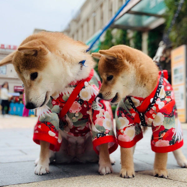 HKM-0363837 Colorful Kimono-Inspired Pet Clothing for Cats ¨C Stylish Four-Legged Attire in Various Sizes
