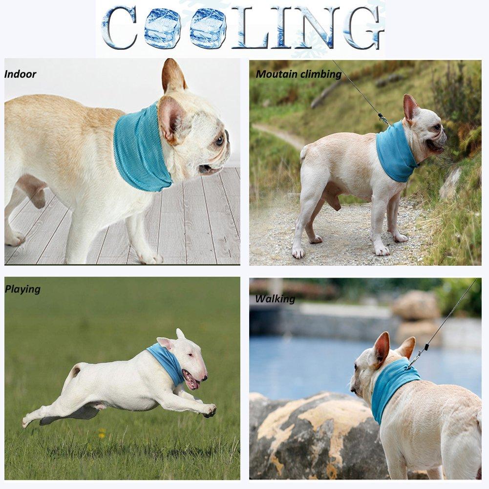 HKM-0368829 Cooling Pet Scarf with Leash Hole for Dogs and Cats - Absorbent and Lightweight Summer Accessory