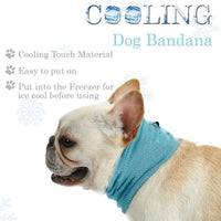 HKM-0368829 Cooling Pet Scarf with Leash Hole for Dogs and Cats - Absorbent and Lightweight Summer Accessory