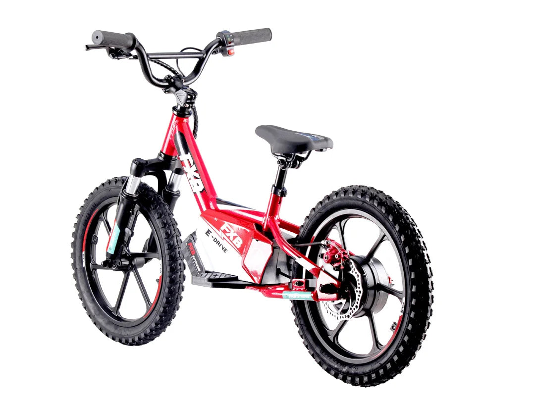 HKM-037587 16-Inch Electric Scooter for Kids - Self-Balancing Mini Bike with Disc Brake and 200W Motor