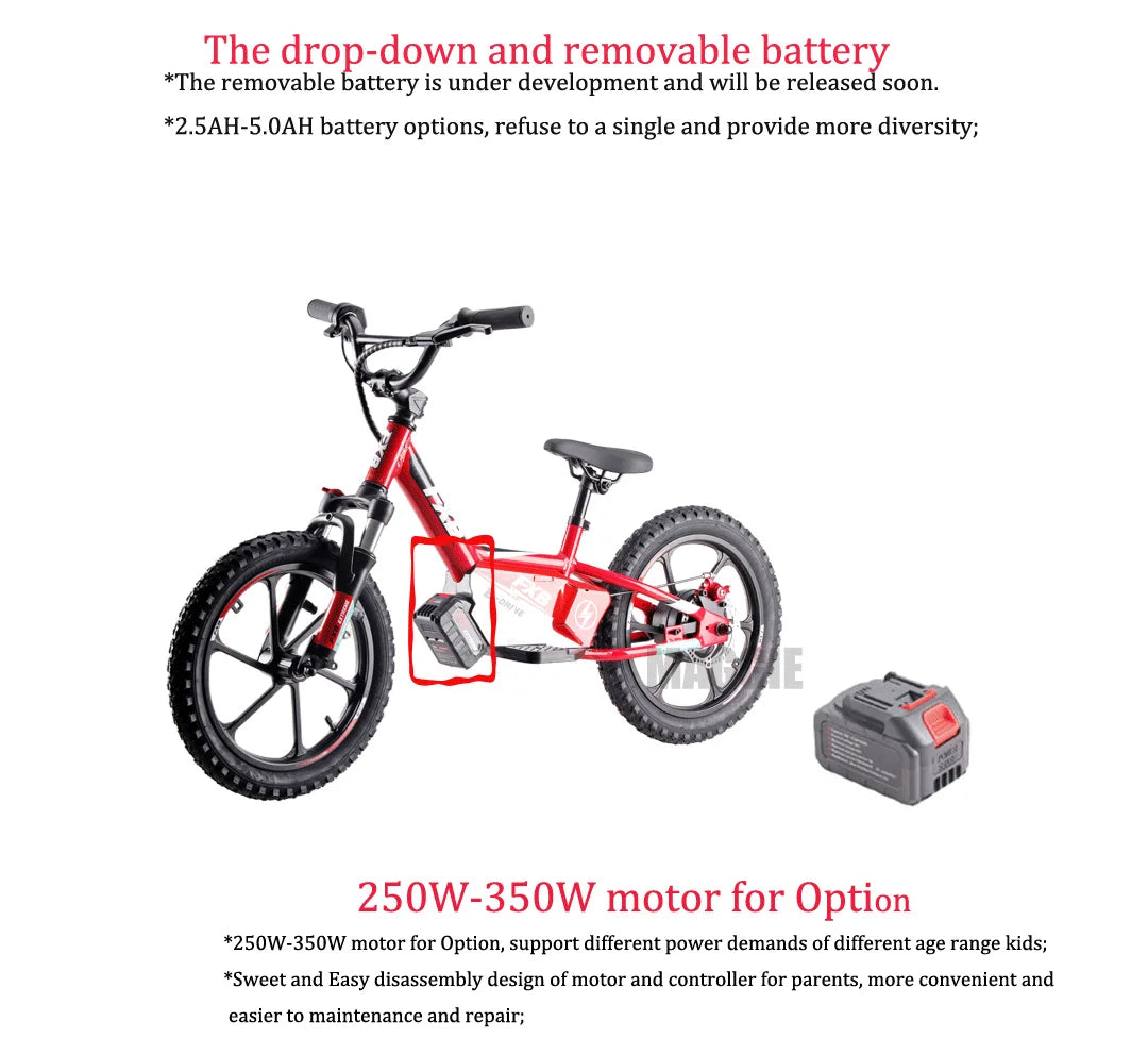 HKM-037587 16-Inch Electric Scooter for Kids - Self-Balancing Mini Bike with Disc Brake and 200W Motor