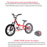 HKM-037587 16-Inch Electric Scooter for Kids - Self-Balancing Mini Bike with Disc Brake and 200W Motor