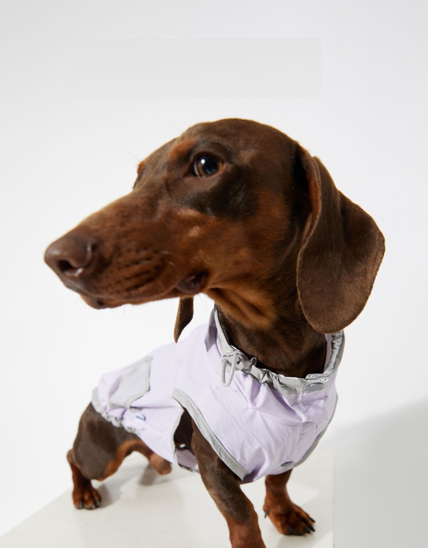 HKM-0376637 Ultra-thin Waterproof Dog Vest Raincoat - Casual Wind Shield for Pets in Purple, Yellow, and Blue