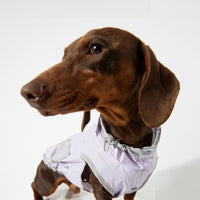 HKM-0376637 Ultra-thin Waterproof Dog Vest Raincoat - Casual Wind Shield for Pets in Purple, Yellow, and Blue