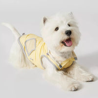 HKM-0376637 Ultra-thin Waterproof Dog Vest Raincoat - Casual Wind Shield for Pets in Purple, Yellow, and Blue