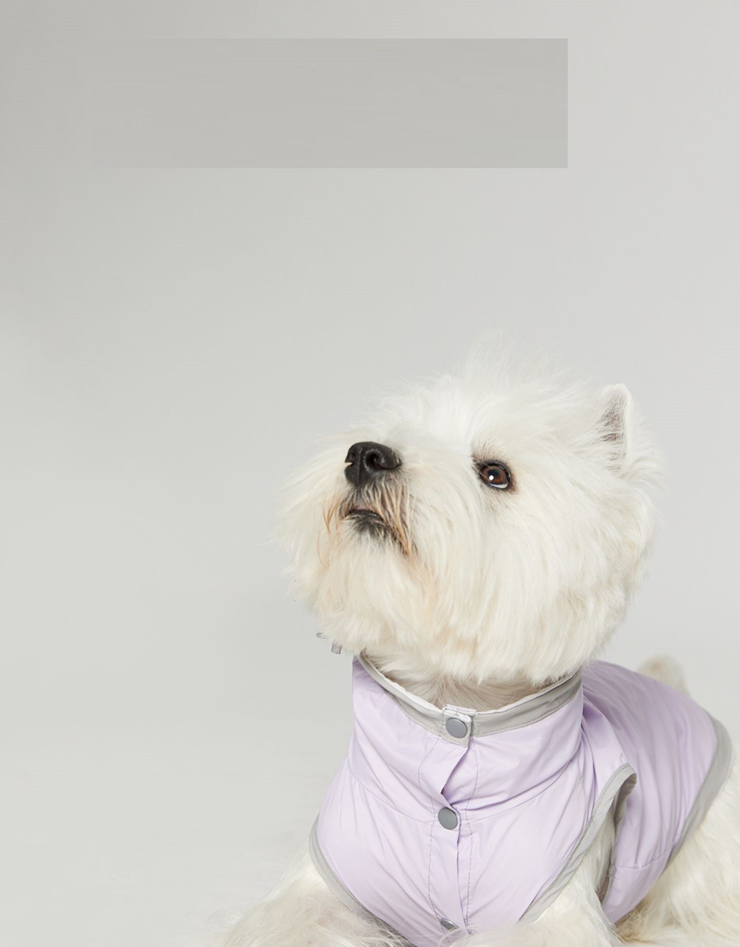 HKM-0376637 Ultra-thin Waterproof Dog Vest Raincoat - Casual Wind Shield for Pets in Purple, Yellow, and Blue