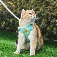 HKM-0378429 Cat Traction Rope in Green Avocado, Yellow Bear, and Pink Astronaut Styles, Available in Size S and M