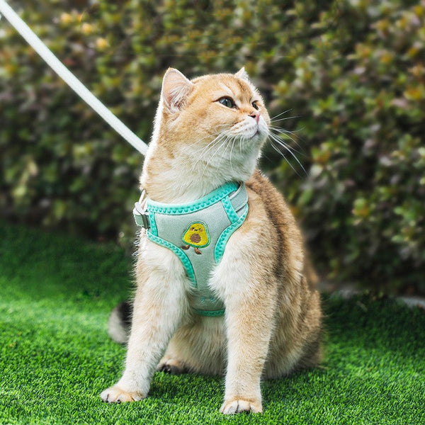 HKM-0378429 Cat Traction Rope in Green Avocado, Yellow Bear, and Pink Astronaut Styles, Available in Size S and M