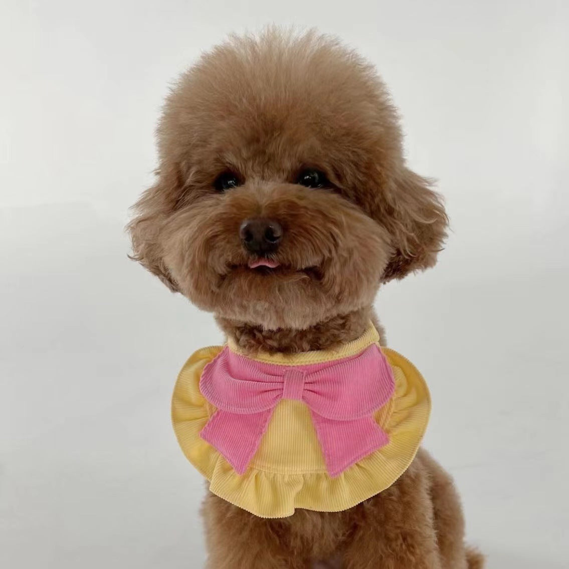 HKM-0381501 Cute Monochrome Butterfly Dog Bib in Yellow and Blue ¨C Casual Polyester Design Available in S, M, L Sizes