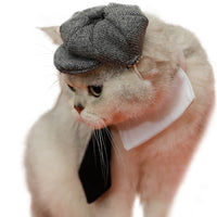 HKM-0384957 Gentleman Cat Beret and Tie Set for Stylish Adult Cats