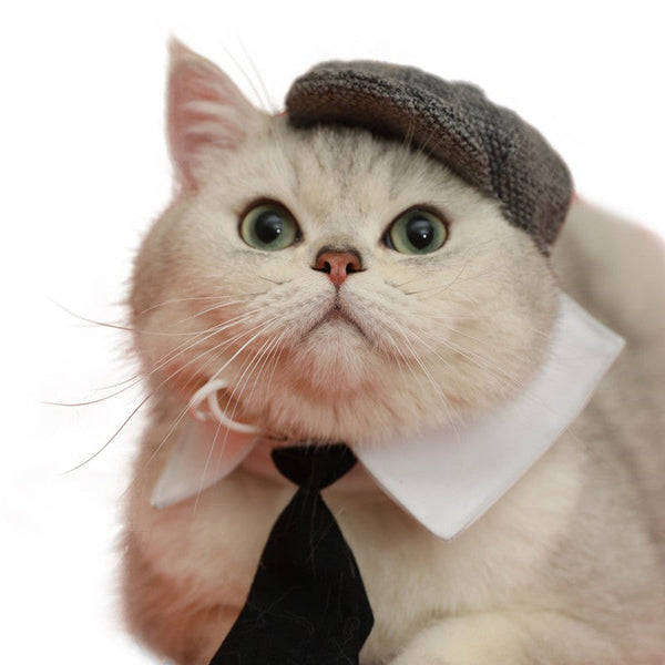 HKM-0384957 Gentleman Cat Beret and Tie Set for Stylish Adult Cats