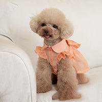 HKM-0385085 Stylish Dog Pet Bowknot Dress for Spring and Summer - Green and Orange Choices Available
