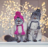 HKM-0387517 Warm and Windproof Fluffy Dog Knitting Hat - Acrylic Fashion Style in Pink and Gray