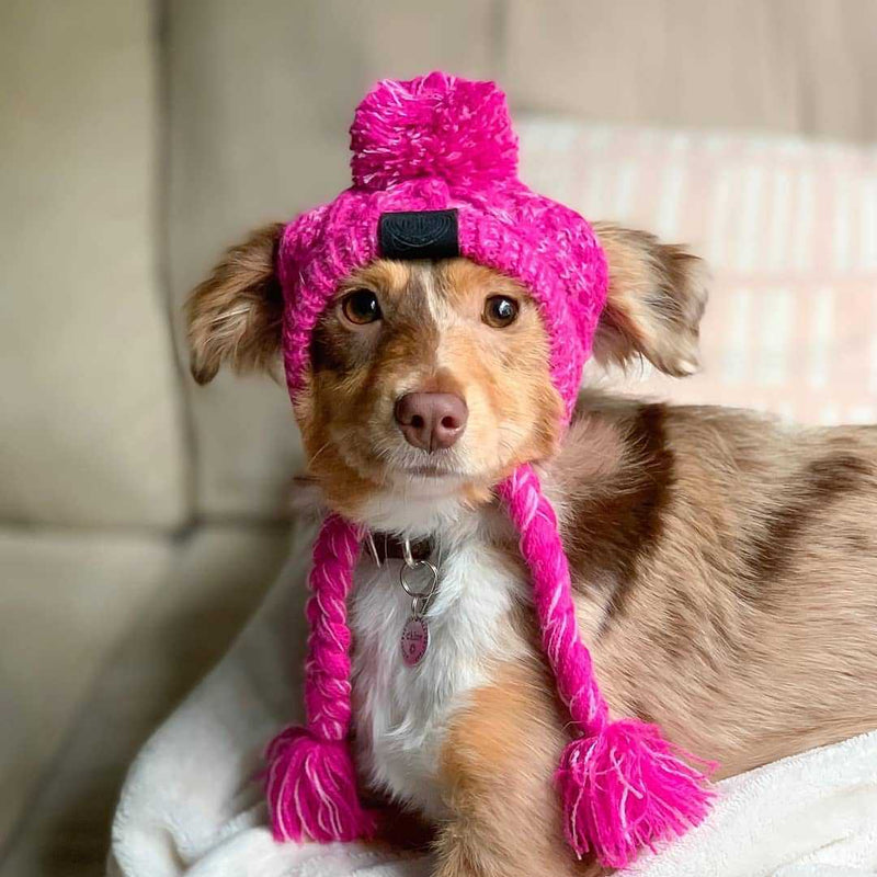 HKM-0387517 Warm and Windproof Fluffy Dog Knitting Hat - Acrylic Fashion Style in Pink and Gray