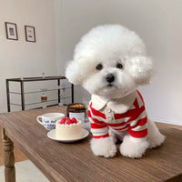 HKM-0392637 Cute Pet Clothing for Small Dogs and Cats in Various Colors and Sizes