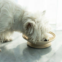 HKM-0394429 Three-Compartment Silicone Slow Feeder Bowl and Lick Mat, 21cm Diameter, Yellow and Coral Red