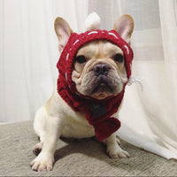 HKM-0394813 Casual Acrylic Dog Hat for All Seasons - One Size Fits Most
