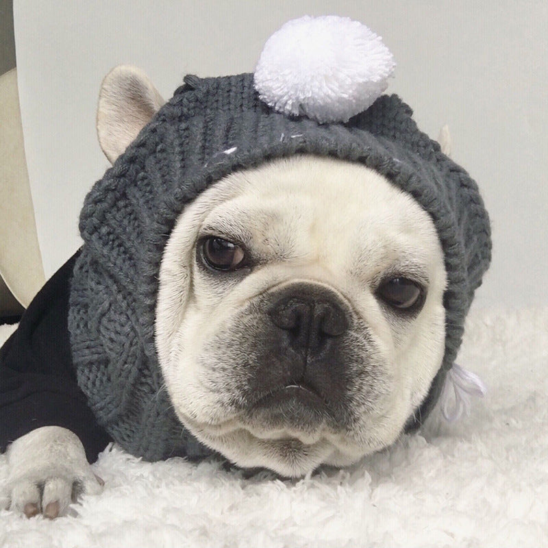HKM-0394813 Casual Acrylic Dog Hat for All Seasons - One Size Fits Most