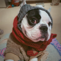 HKM-0394813 Casual Acrylic Dog Hat for All Seasons - One Size Fits Most