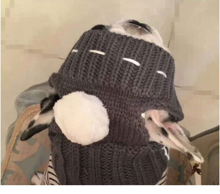 HKM-0394813 Casual Acrylic Dog Hat for All Seasons - One Size Fits Most