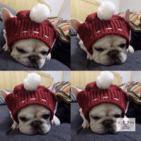 HKM-0394813 Casual Acrylic Dog Hat for All Seasons - One Size Fits Most