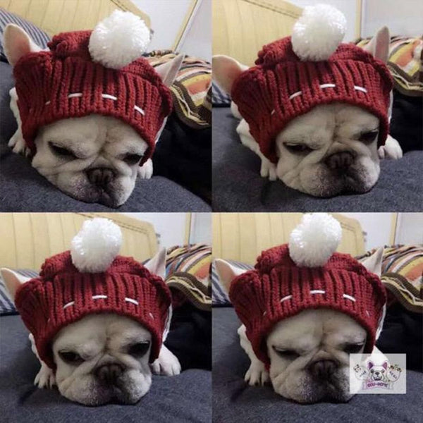 HKM-0394813 Casual Acrylic Dog Hat for All Seasons - One Size Fits Most