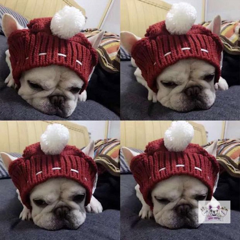 HKM-0394813 Casual Acrylic Dog Hat for All Seasons - One Size Fits Most
