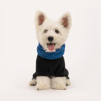HKM-0395837 Warm Detachable Windproof Pet Apparel with Collar for All Sizes