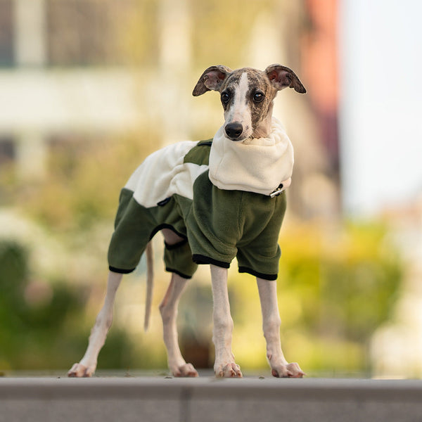 HKM-0395837 Warm Detachable Windproof Pet Apparel with Collar for All Sizes