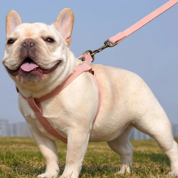 HKM-0397501 Leather Vest-style Harness for Small and Medium Dogs - Adjustable Fit, Multiple Colors Available