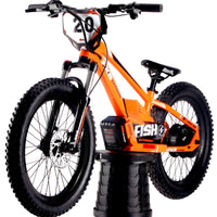 HKM-039891 20-Inch Electric Balance Bike with 36V 400W Hub Motor and 5Ah Lithium Battery