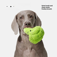 HKM-0402621 Dog Molar Teeth Cleaning Broccoli Plush Toy - Sound Interactive Pet Chew Toy