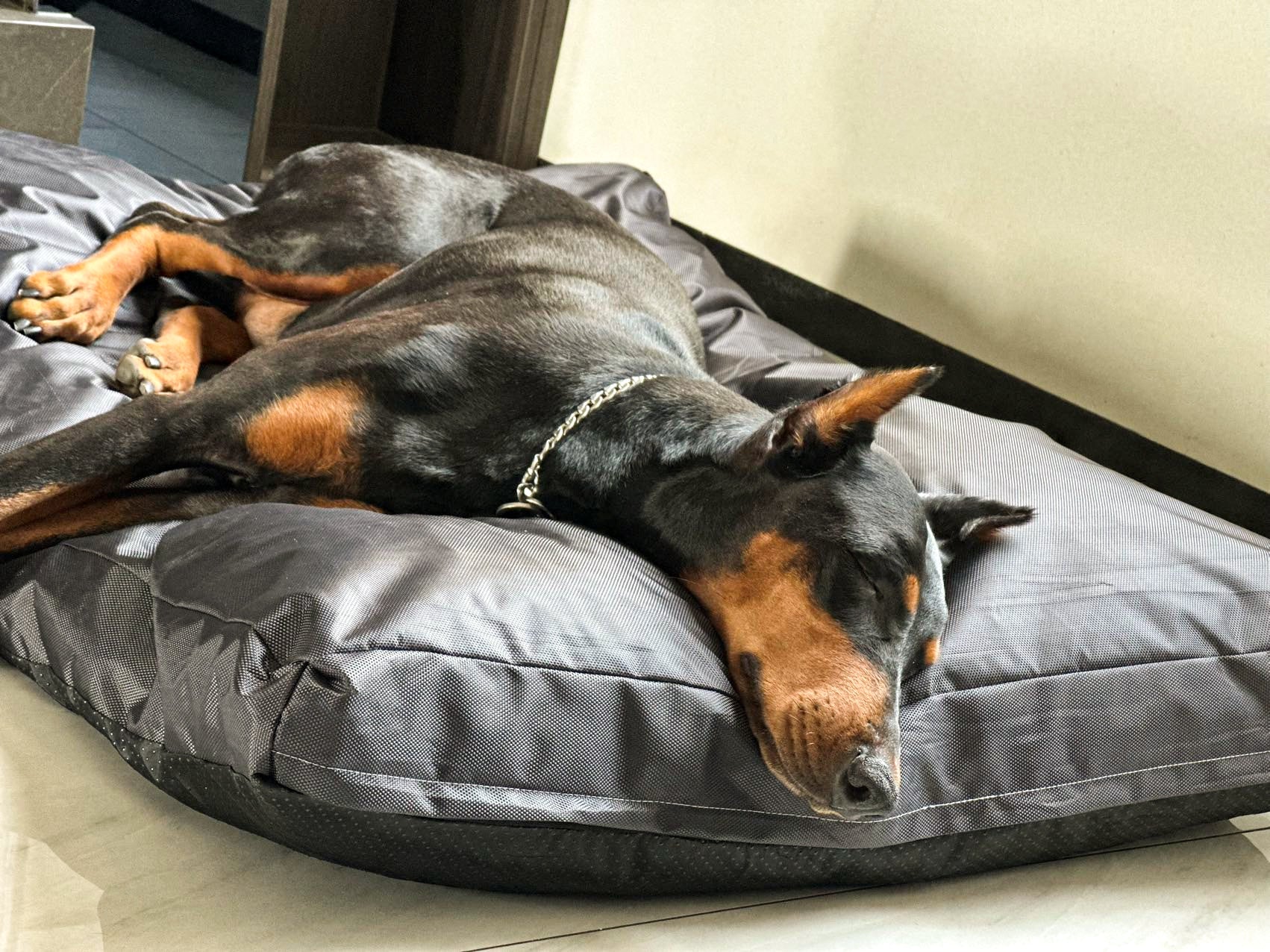 HKM-0404029 Sponge Pet House Bed - Dark Gray, Scratch-Resistant & Non-Slip, Multiple Sizes
