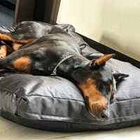 HKM-0404029 Sponge Pet House Bed - Dark Gray, Scratch-Resistant & Non-Slip, Multiple Sizes