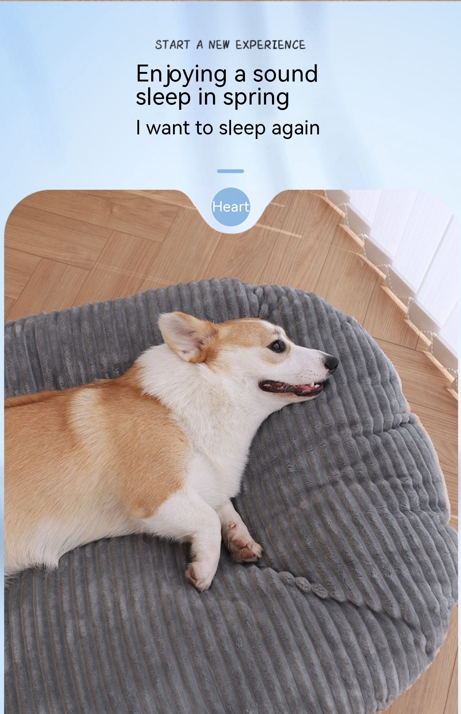 HKM-0409789 Double-Sided Removable & Washable Dog Mattress - Universal Floor Mat for Pets