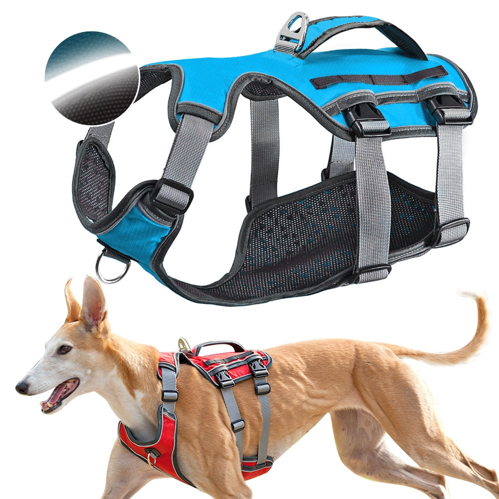 HKM-0414781 Water-Repellent Polyester Thoracolumbar Support Band for Dogs