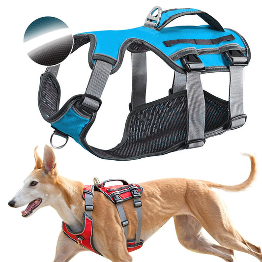 HKM-0414781 Water-Repellent Polyester Thoracolumbar Support Band for Dogs