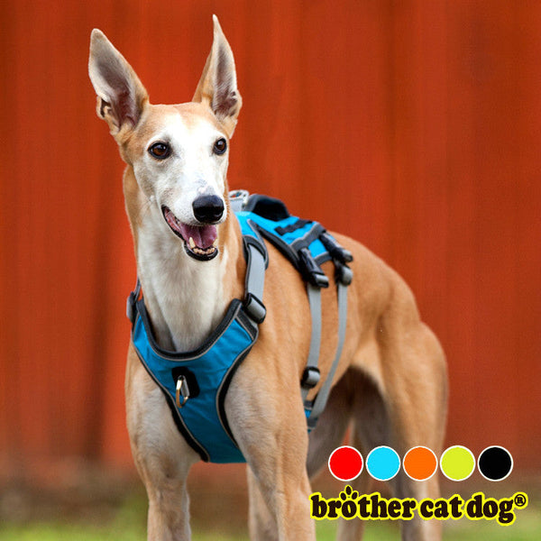 HKM-0414781 Water-Repellent Polyester Thoracolumbar Support Band for Dogs