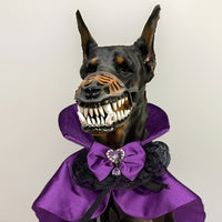 HKM-0420285 Halloween Costume for Pets - Puppy and Cat Mask in Various Sizes