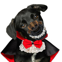 HKM-0420285 Halloween Costume for Pets - Puppy and Cat Mask in Various Sizes