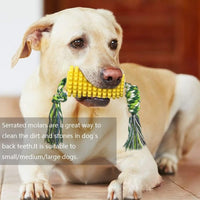 HKM-0429629 Durable Chewy Interactive Dog Toys for Strong Chewers - Corn Cob Design for All Dog Sizes