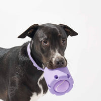 HKM-0431805 Natural Rubber Dog Tennis Cup - Bite-Resistant Pet Toy in Multiple Colors
