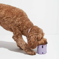HKM-0431805 Natural Rubber Dog Tennis Cup - Bite-Resistant Pet Toy in Multiple Colors